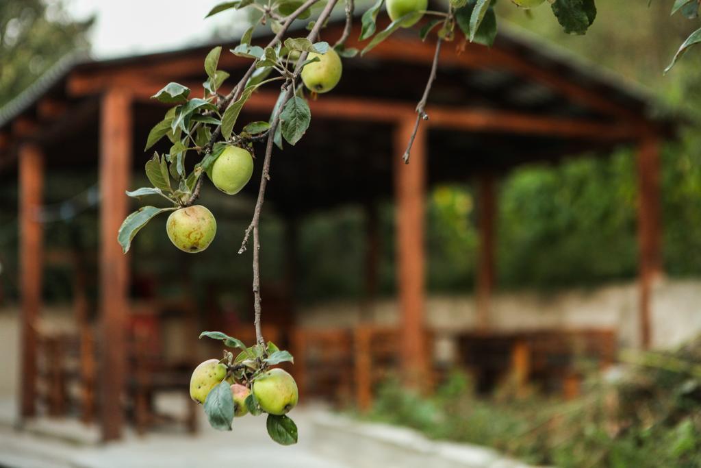 Guest House Dilijan Orran Ngoại thất bức ảnh